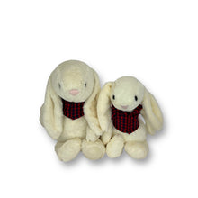 Load image into Gallery viewer, 30cm or 35cm Bunny | Blake with red check shirt