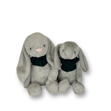 Load image into Gallery viewer, 30cm or 35cm Bunny | Walder with green check shirt

