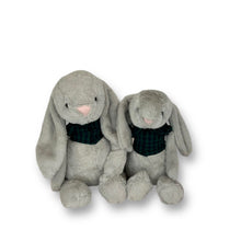 Load image into Gallery viewer, 30cm or 35cm Bunny | Walder with green check shirt