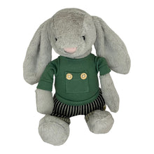 Load image into Gallery viewer, 30cm Bunny | Walder with Green Jersey and Stripe Pants
