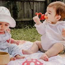 Load image into Gallery viewer, Fresh Food Feeder and Teether