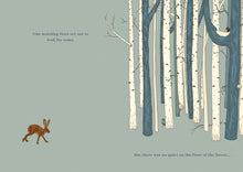 Load image into Gallery viewer, Hare & Ruru: A quiet moment Book