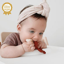 Load image into Gallery viewer, Fresh Food Feeder and Teether