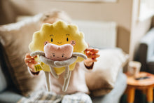 Load image into Gallery viewer, The Sibling Set Plush Toy