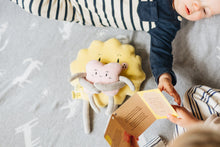 Load image into Gallery viewer, The Sibling Set Plush Toy