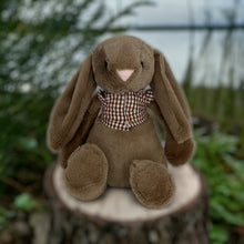 Load image into Gallery viewer, 30cm or 35cm Bunny | Avery with brown check shirt
