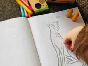 Toddlers First Colouring Book - An Endangered Animals Adventure