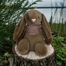 Load image into Gallery viewer, 30cm or 35cm Bunny | Avery with brown check shirt
