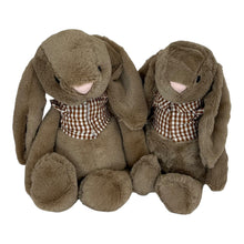 Load image into Gallery viewer, 30cm or 35cm Bunny | Avery with brown check shirt
