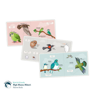 Ngā Manu Māori (Native Birds) | Board Book