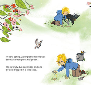 Sunflowers Don’t Grow in Winter | Book