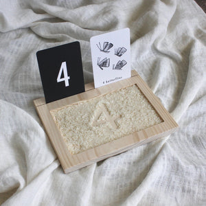 Tracing Tray