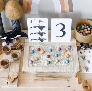 Tracing Tray